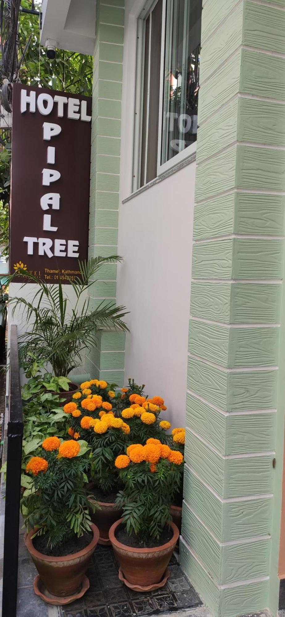 Hotel Pipal Tree Katmandu Dış mekan fotoğraf